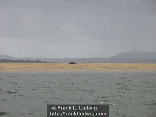 Great Seal Bank, Culleenamore